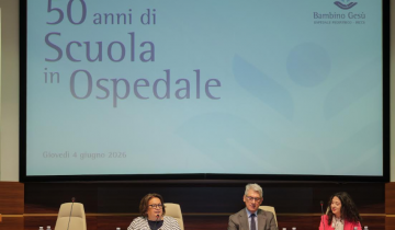 Il modello della 