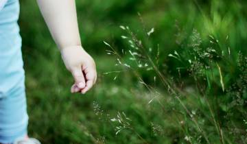 Robert Zarr, il pediatra di Washington che prescrive la natura ai giovani pazienti