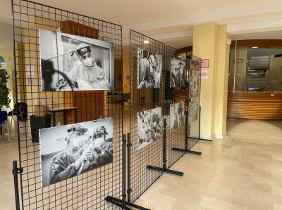 I loro occhi, le loro mani | Mostra Hallart