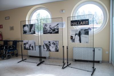 I loro occhi, le loro mani | Mostra Hallart