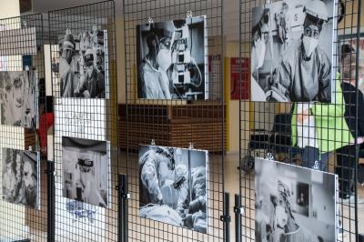 I loro occhi, le loro mani | Mostra Hallart