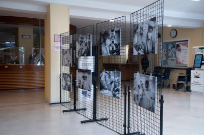 I loro occhi, le loro mani | Mostra Hallart