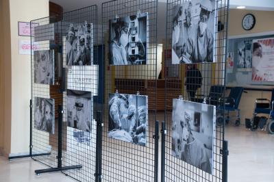 I loro occhi, le loro mani | Mostra Hallart
