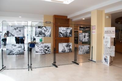 I loro occhi, le loro mani | Mostra Hallart