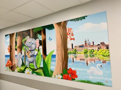 TIN MANTOVA in collaborazione con l'artista Silvio Irilli - progetto Ospedali Dipinti