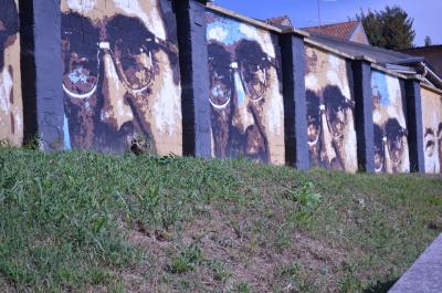 STREET ART Orticanoodles, Cristian Sonda, Marco Cerioli, Davide Tolasi, liceo artistico e LABA