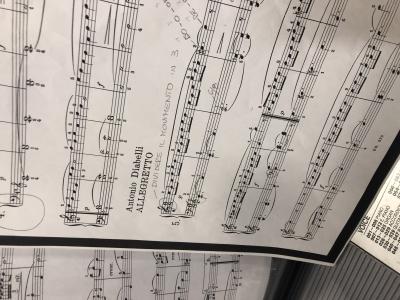 ASSOCIAZIONE CANTARE SUONANDO
