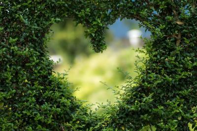 Convegno  “Healing garden: giardino parlante. Raccontare la cura”